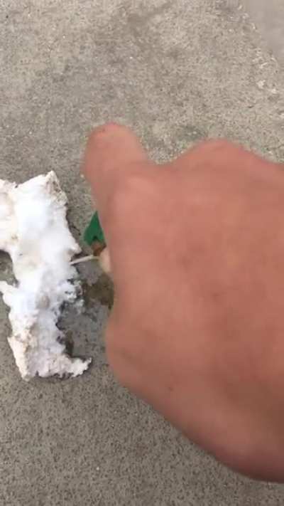 ainda bem que a gente não é feito de isopor né muquinha ?