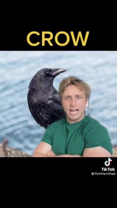 This man’s ass is in danger