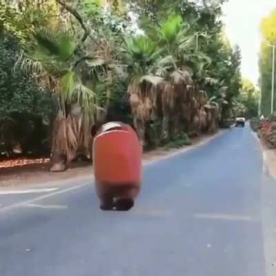 Amogus in real life!!!!😳😲😲💯💯 (Gone SEXUAL????😱😱)