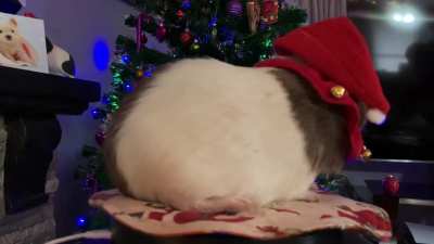 I made a Christmas video