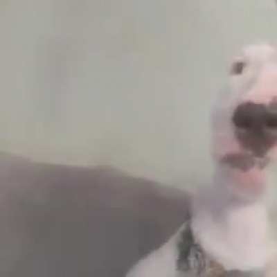 Ok