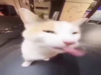 This is no wunking matter
