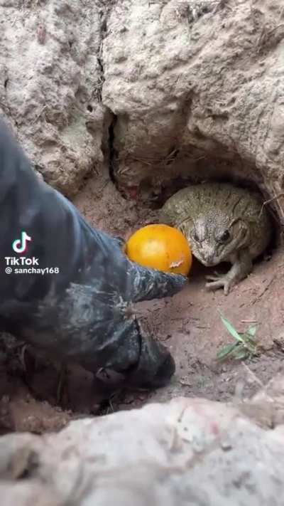 MINE