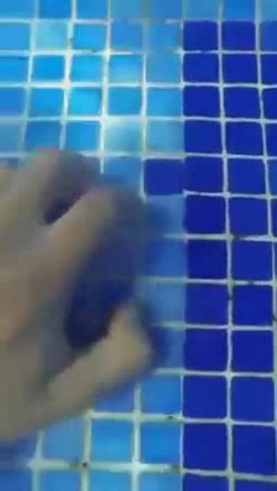 Swinng pool be like this