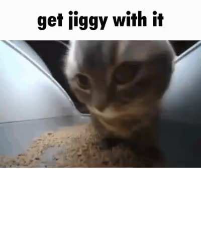 ‎ 
