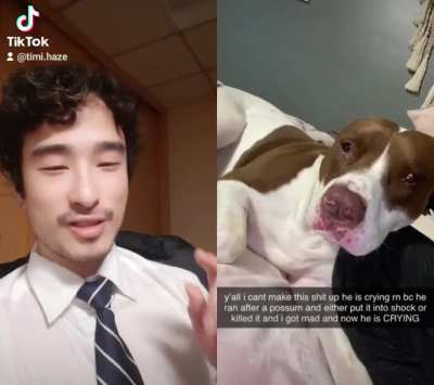 Dog owner thinks allergic reaction is crying