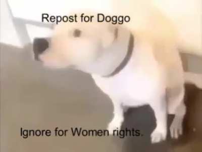 A tough decision
