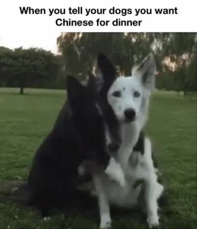 Who’s a good (tasty) boy