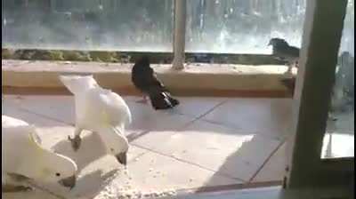 Excuse me, you need to move!