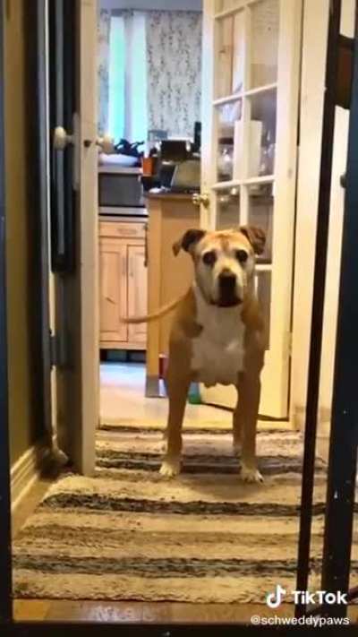 4 legged vacuum