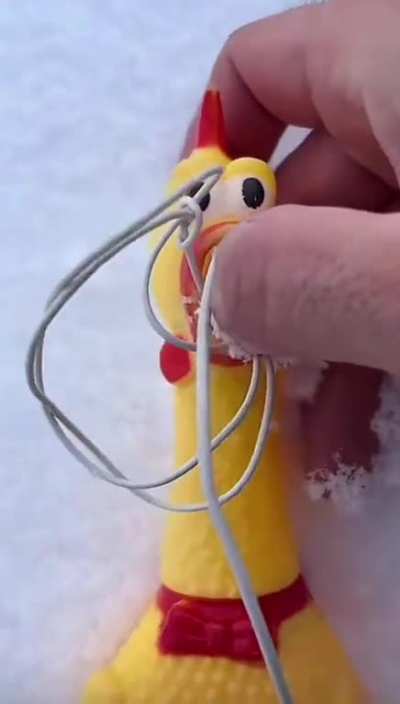 Rubber chicken