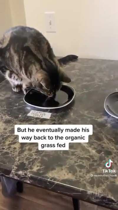 Milo only eat expensive steak and need to cleanse his pallete using evian water, im crying lol