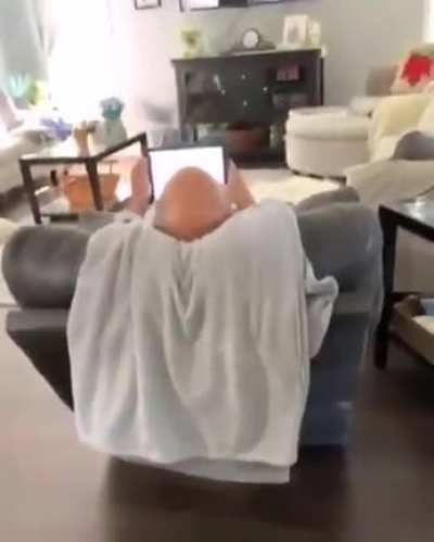 Rip