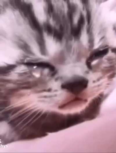 WIFI WENT OUT MEANING I CANT DRAW  AAAAGH