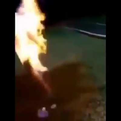 it's not a gif smh