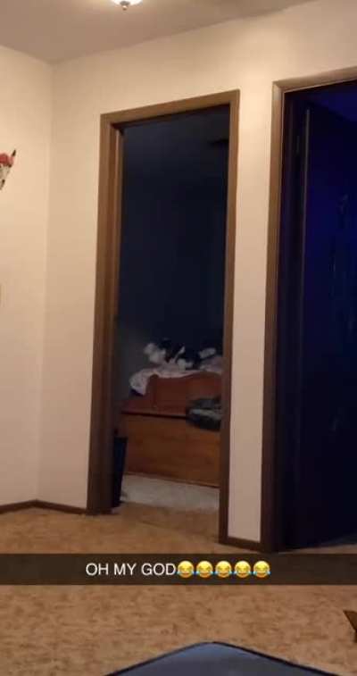 Silas sent Suki to the void.