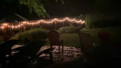 Rain + Cicadas in Maryland.