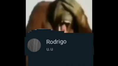 Don Rodríguez