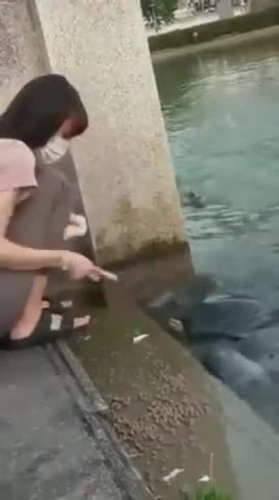 What kind of creature is that?