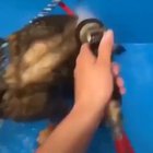 bath
