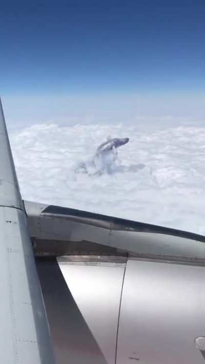 For those who always believe videos on here are real and not CGI. I give u this…