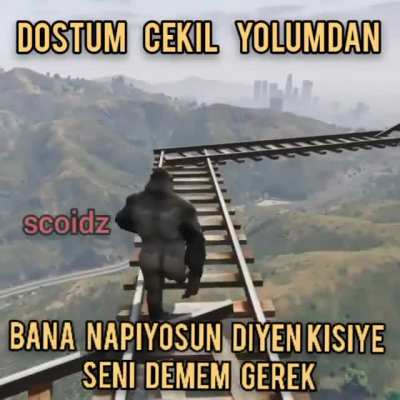 Seni sjsjsjsjsjsj