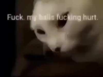 Balls