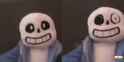 i introduce to you, the sans duo