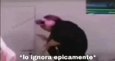 Primer post