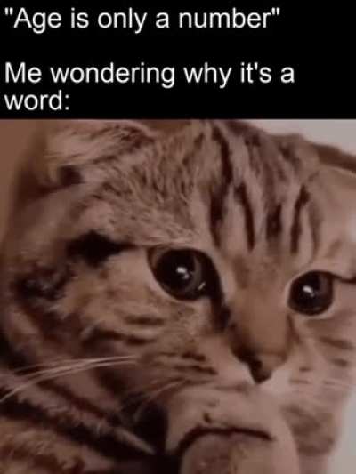 absolutelynotmeirl