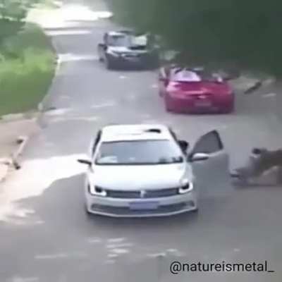 Never get out of the car when you're arguing with your boyfriend
