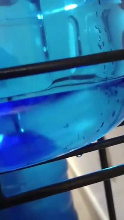 Worms in SRM AP water dispenser