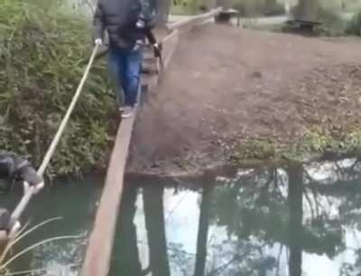 So graceful...