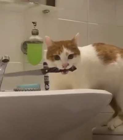 What does she plan on doing with it????