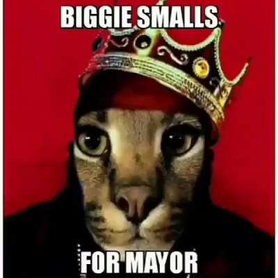 BIgge floppa