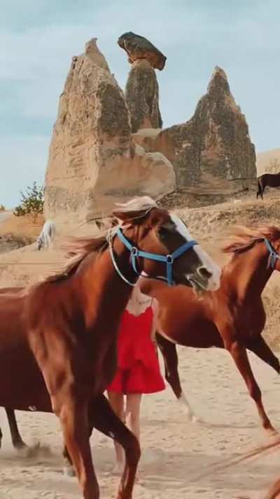 Walking through running horses for clout points.