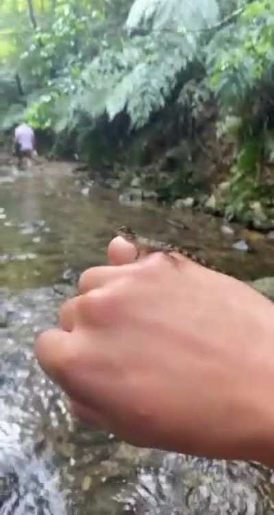 My people need me!