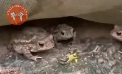 ð¸ ð