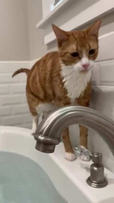 Startled by water.