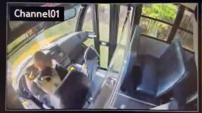 Here’s video of the Army trainee who deserted Fort Jackson on Thursday morning, then carjacked a school bus with 18 elementary students aboard.