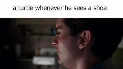 Oh boy yeah