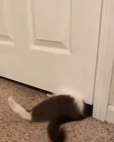 Bones? Nah…