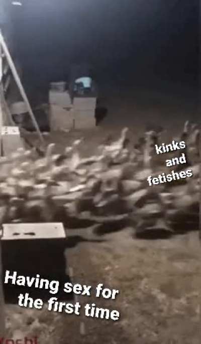 Came outta nowhere