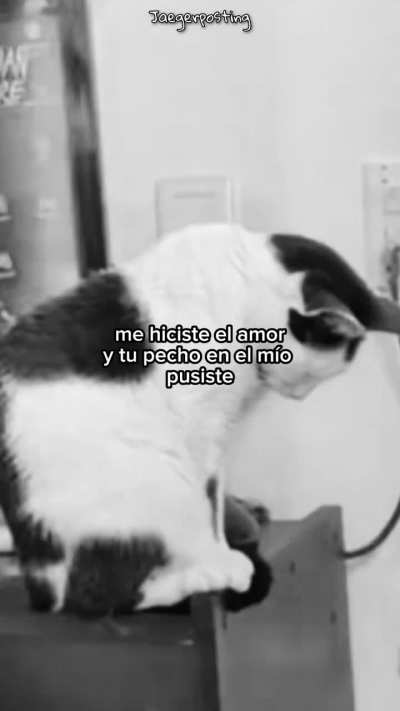 Ver sin miedo