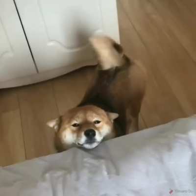When you're happy, your soul looks something like this