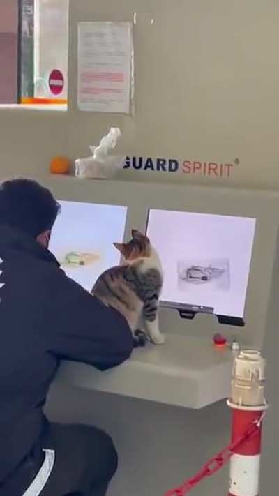 Inspector Catget