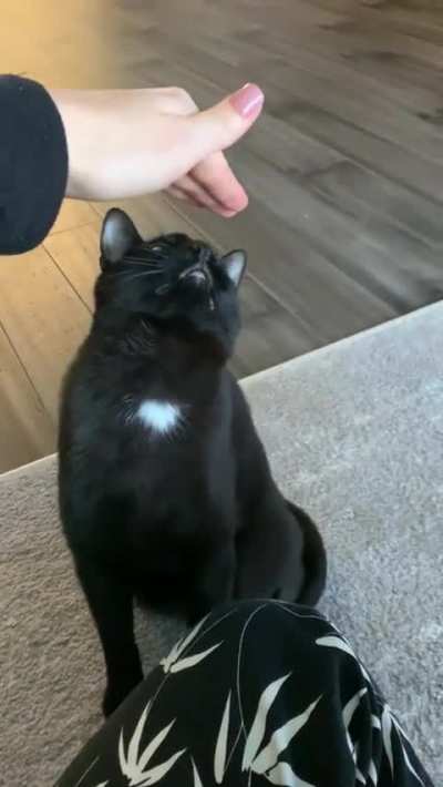 Don’t touch my head please. No thank you.