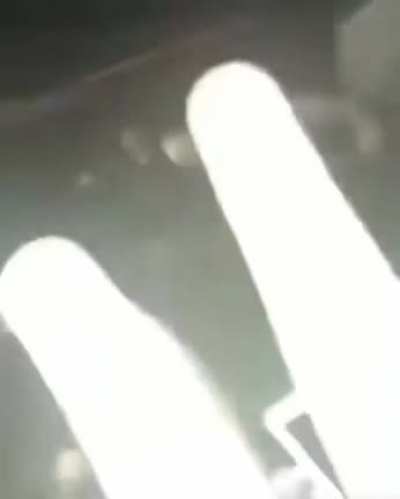 Screams of fear