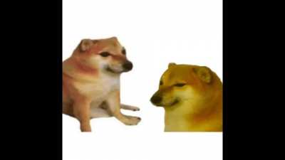owie