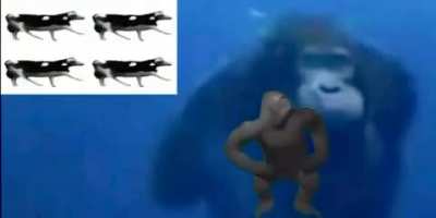 Le fische
